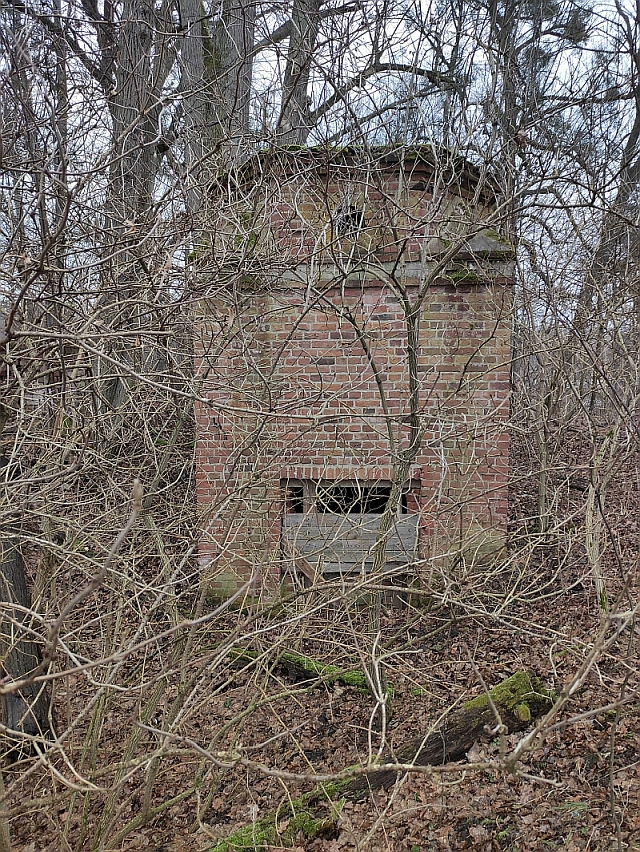 Barkweda